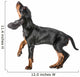 Black and Tan Coonhound