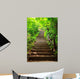 Stairway to Forest