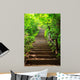 Stairway to Forest