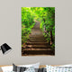 Stairway to Forest