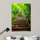 Stairway to Forest
