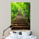 Stairway to Forest