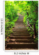 Stairway to Forest
