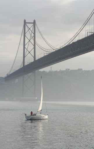 Rio Tejo Wall Decal