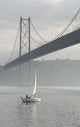 Rio Tejo Wall Decal