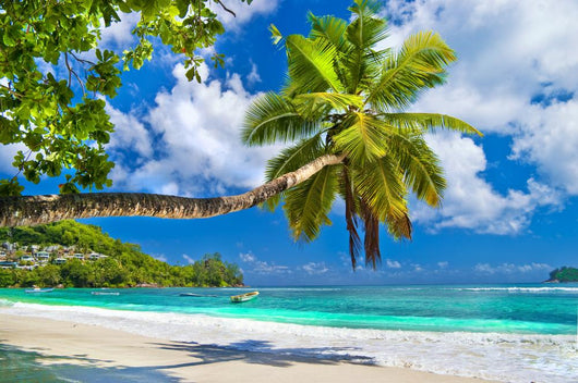 Idyllic Tropical Scenery Seychelles Wall Mural