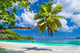 Idyllic Tropical Scenery Seychelles Wall Mural