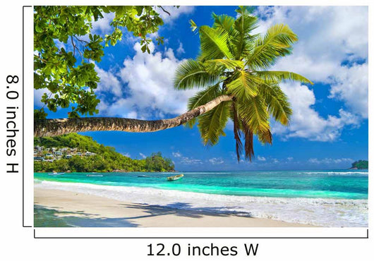 Idyllic Tropical Scenery Seychelles Wall Mural