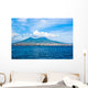 Great Wall Mural