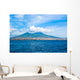 Great Wall Mural
