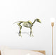 Horse Skeleton Wall Decal