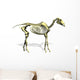 Horse Skeleton Wall Decal