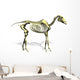 Horse Skeleton Wall Decal