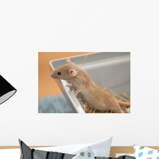 House Mouse Wall Decal