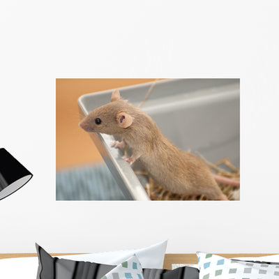 House Mouse Wall Decal shown on a wall