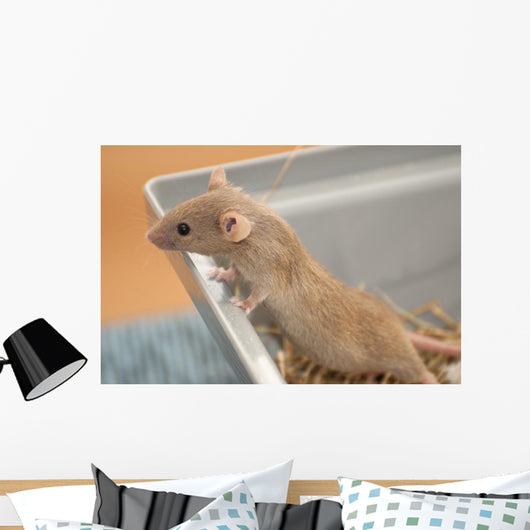 House Mouse Wall Decal