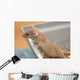House Mouse Wall Decal