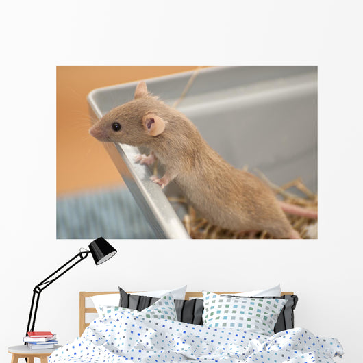 House Mouse Wall Decal