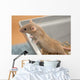 House Mouse Wall Decal