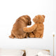 Best Friends
