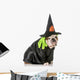 Dog Witch Wall Decal