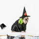 Dog Witch Wall Decal