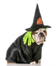 Dog Witch Wall Decal