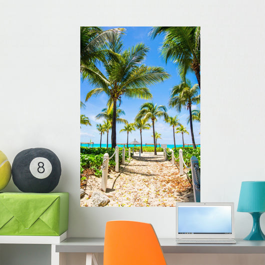 Beautiful Tropical Landscape Exotic