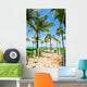 Beautiful Tropical Landscape Exotic