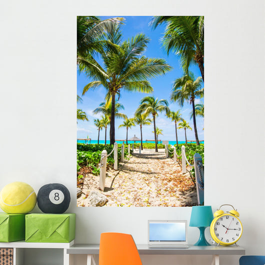 Beautiful Tropical Landscape Exotic