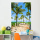 Beautiful Tropical Landscape Exotic