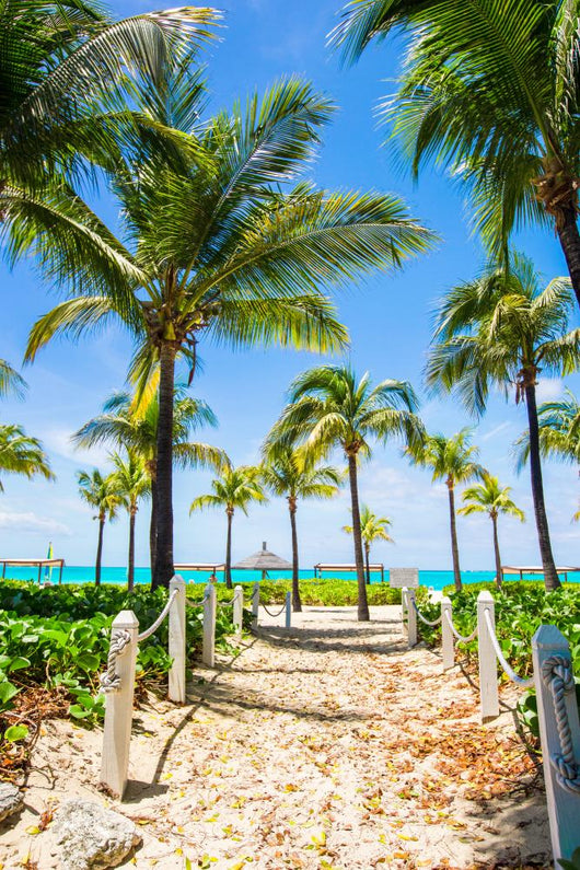 Beautiful Tropical Landscape Exotic