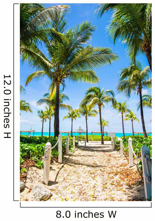 Beautiful Tropical Landscape Exotic