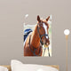 Purebred Horse Bright