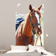 Purebred Horse Bright