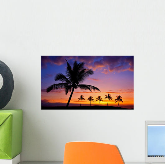 Hawaiian Palm Tree Silhouette