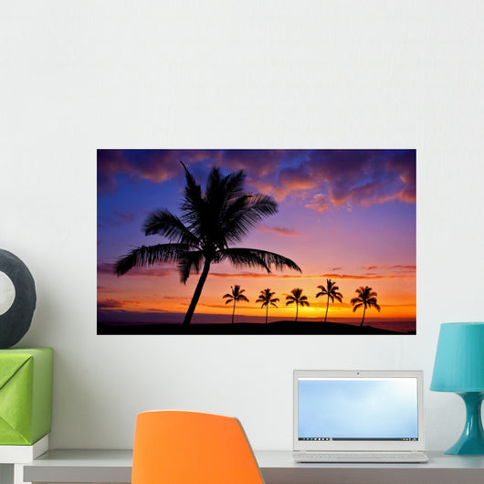Hawaiian Palm Tree Silhouette