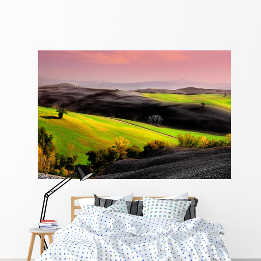 paesaggio toscano Wall Mural