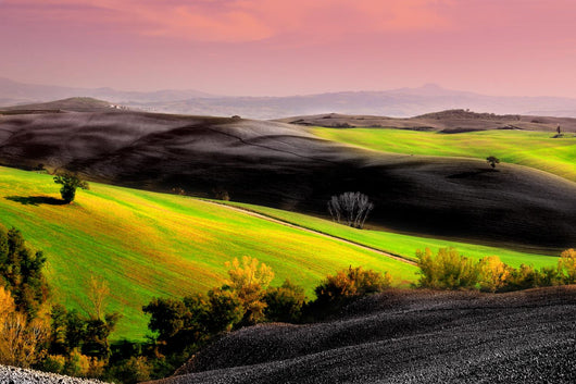 paesaggio toscano Wall Mural