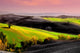 paesaggio toscano Wall Mural