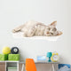 Kitten on a White Background Wall Decal