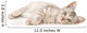 Kitten on a White Background Wall Decal
