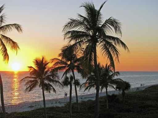 Sunset over Ocean Tropical Wall Decal