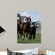 Jockey Action during Horse