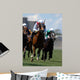 Jockey Action during Horse