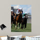Jockey Action during Horse