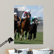 Jockey Action during Horse