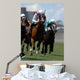 Jockey Action during Horse