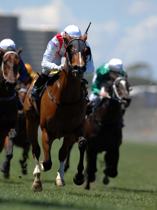 Jockey Action during Horse