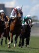 Jockey Action during Horse